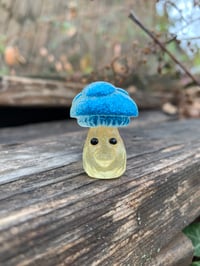 Image 1 of Blue and Yellow Tiny Mushroom