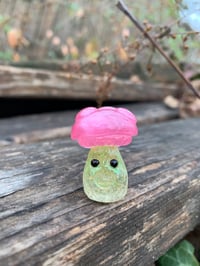 Image 1 of Pink and Yellow Tiny Mushroom 