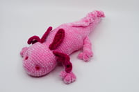 Image 1 of Cuddly Axolotl