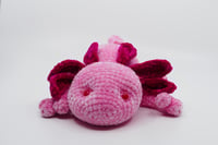 Image 3 of Cuddly Axolotl