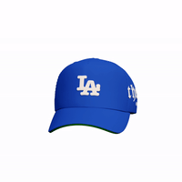 Image 1 of Los Angeles "The Land"