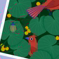 Image of La tribu aux becs bleus