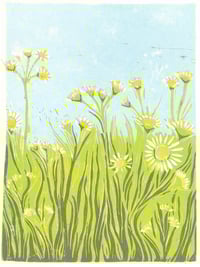 Image 2 of Wildflowers card