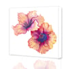 Hibisicus Giclee Print