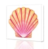 Sunrise Shell Giclee Print