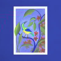 Image of L'oiseau et le flamboyant