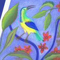 Image of L'oiseau et le flamboyant
