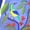 Image of L'oiseau et le flamboyant
