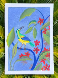 Image of L'oiseau et le flamboyant