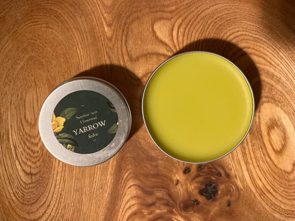 Image of Herbal Salves