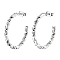 Image 1 of Hayley Earrings 