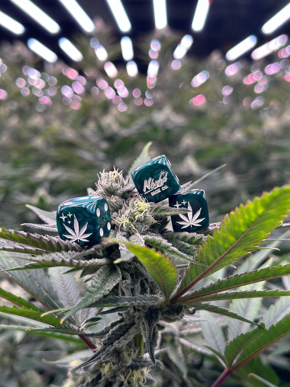 420's