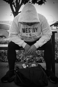 Image 1 of Light Gray Hoodie