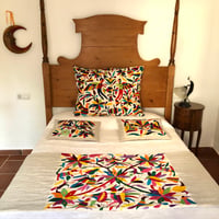 Image 1 of Tenango cushions