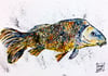 "Common Carp" Original and Limited Edition Giclee Print