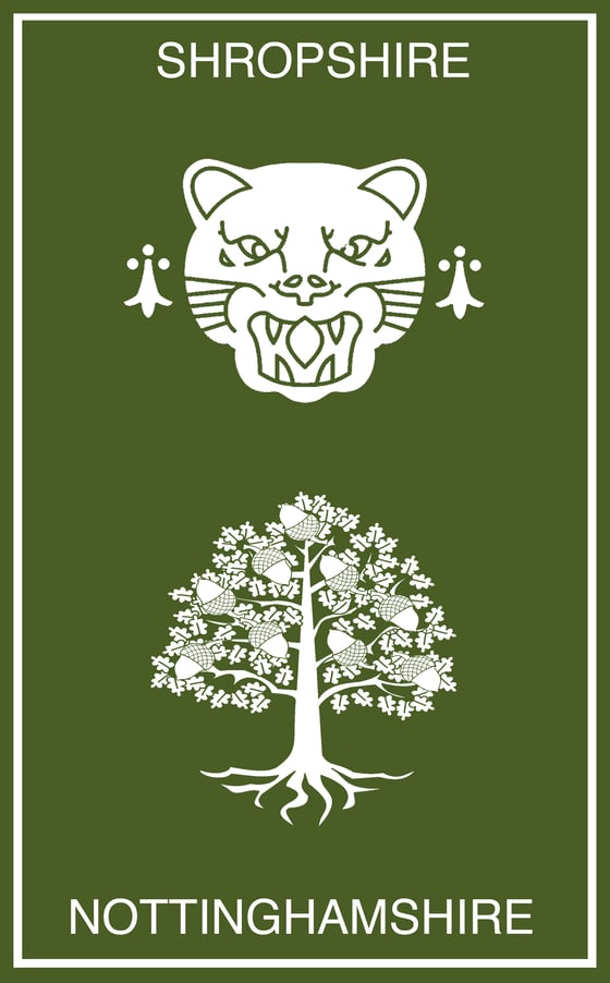 Image of Ceremonial County Tape Series Vol.XI - Shropshire | Nottinghmashire