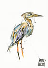 Heron... Limited Edition Giclee Print