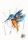 Kingfisher Limited Edition Giclee Print