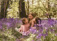Image 1 of Bluebell Woodland Seasonal Session