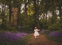 Image 3 of Bluebell Woodland Seasonal Session