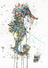 "Seahorse..." Limited Edition Giclee Print