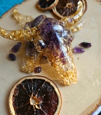 Image 1 of Cow Skull Wall Hanging 