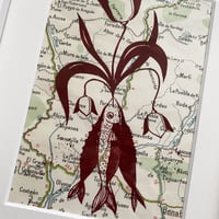 Image 3 of Tulpenfisch, gerahmt, Unikat
