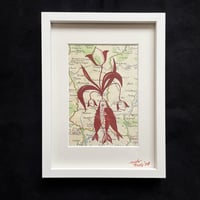 Image 1 of Tulpenfisch, gerahmt, Unikat