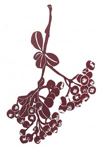 Image 2 of Red Berries Christmas card 