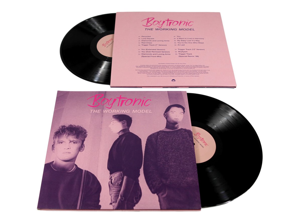 Image of Boytronic - The Working Model  2LP