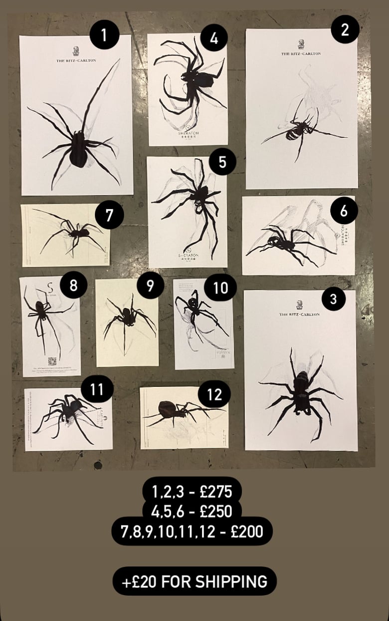 Image of Hotel Stationary Spider Sketch