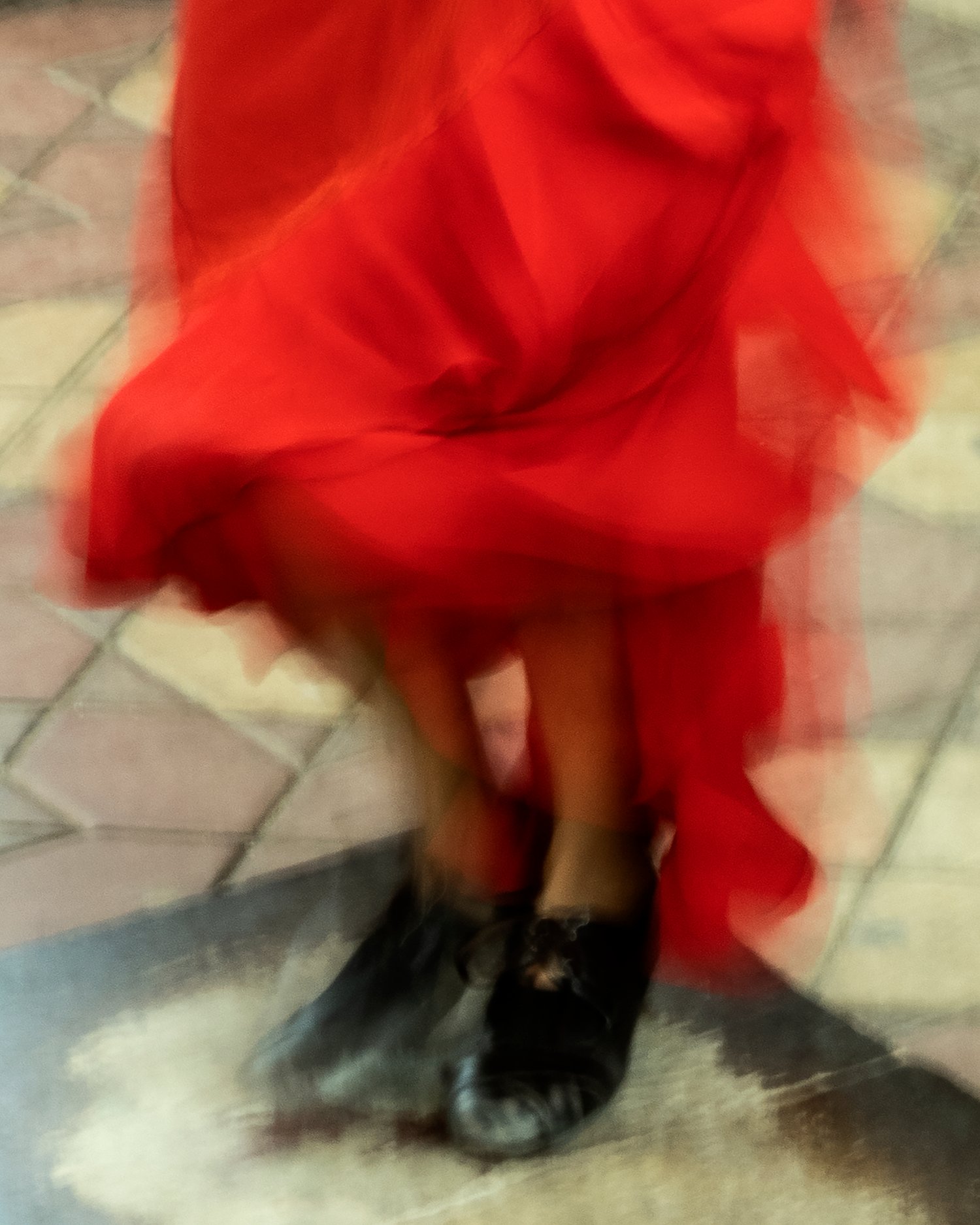 Image of Flamenco