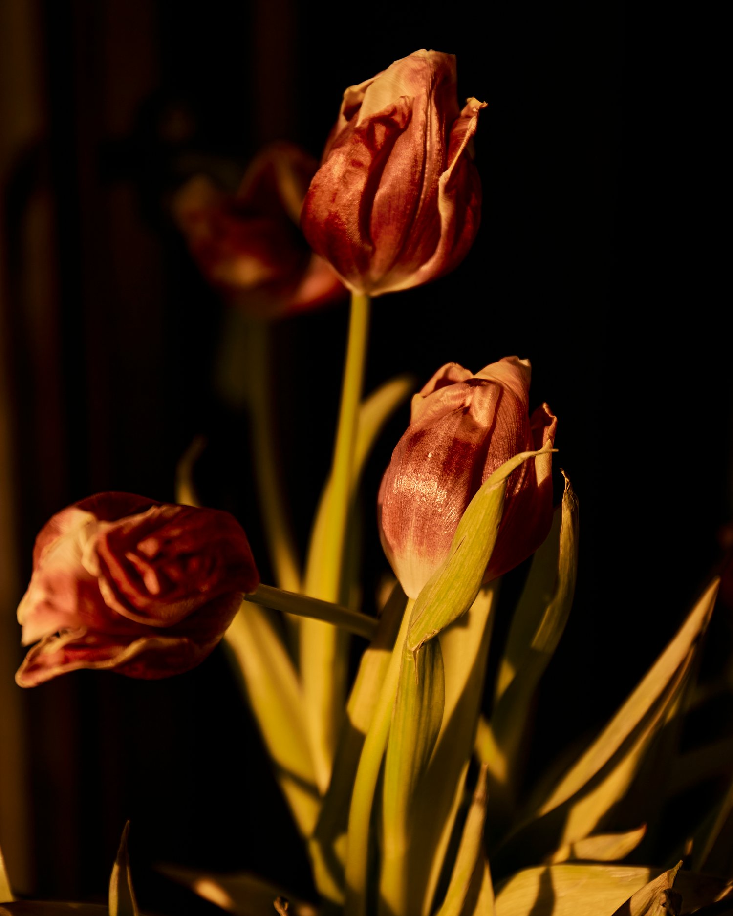 Image of Golden Flowers