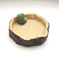 Image 1 of Bog frog