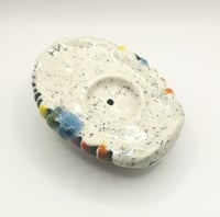 Image 2 of Isopod 1