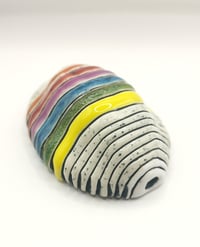 Image 3 of Isopod 1