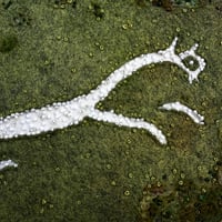Image 2 of The Uffington White Horse Embroidery Hoop Art