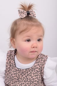 Image 3 of ACCESSORIES