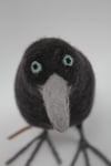 Corone, felt bird