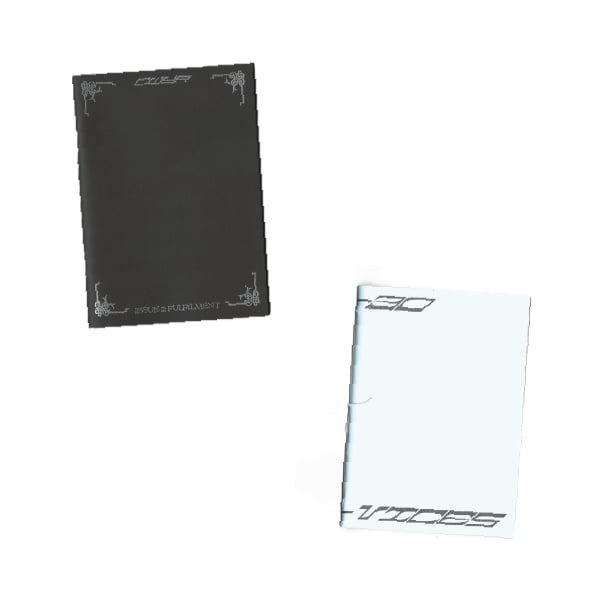 Issue 1 and 2 home delivery 