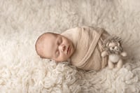 Image 3 of Mini newborn shoot gift voucher 