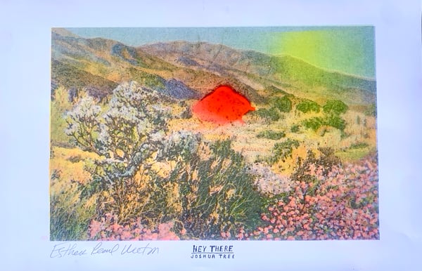 Image of (Esther Pearl Watson) Desert Saucer print 