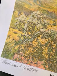 Image 5 of (Esther Pearl Watson) Desert Saucer print 