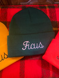 Image 2 of Ficus Beanie