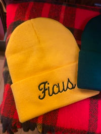 Image 3 of Ficus Beanie