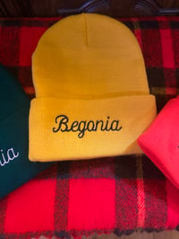 Image 3 of Begonia Beanie