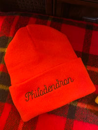 Image 1 of Philodendron Beanie