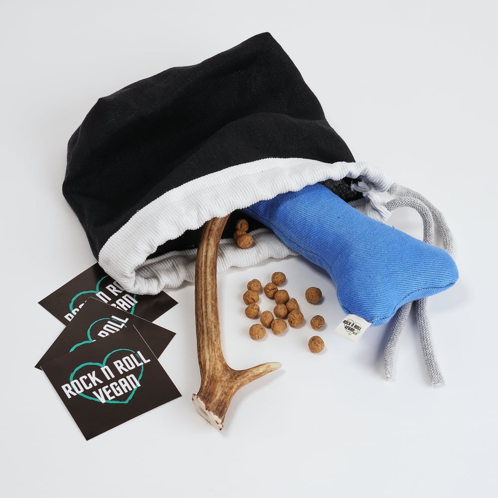 The Eco Christmas Stocking for Pets