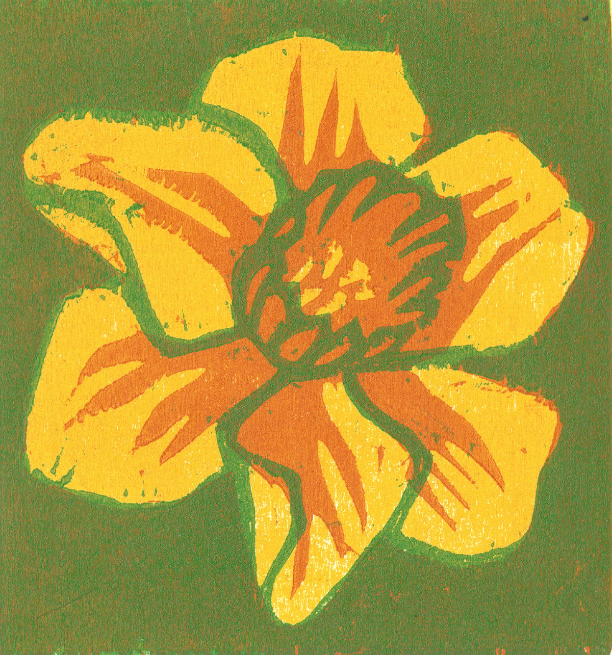 Image of Daffodil