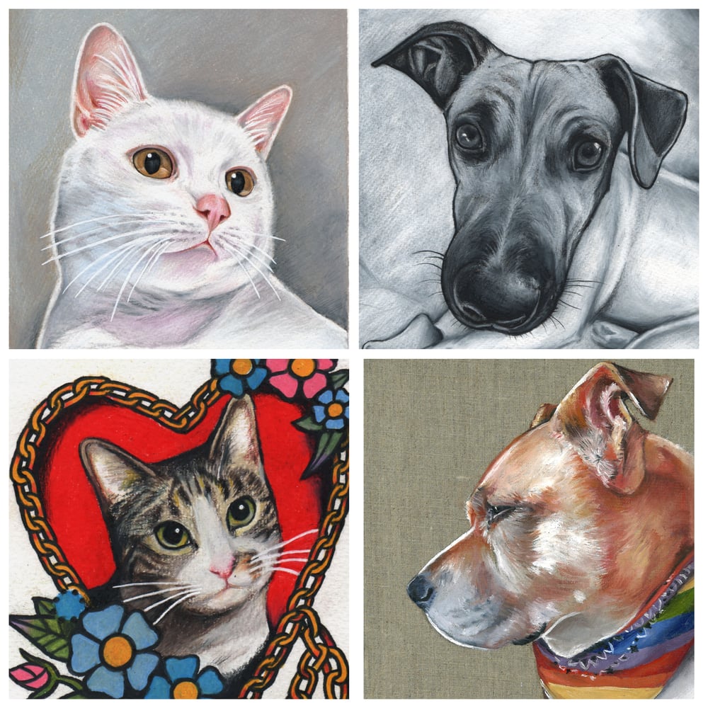 Pet Portrait